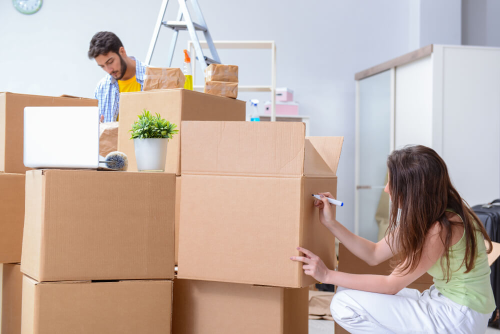 Top Moving Solutions in New Port Richey